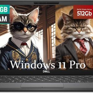 Dell Latitude 5300 Business Laptop, 13.3" Screen Dispaly, Intel Core i5-8265U, 16GB RAM, 512GB SSD, QWERTY Keyboard, Windows 11 Pro (Renewed)